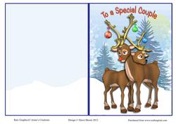 Special Couple Christmas