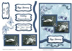 Mr & Mrs Swan Card Front