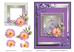 Lacey Lilac Just for You