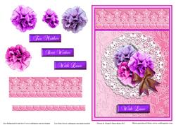Mothers Camelia