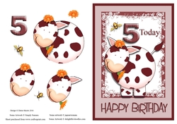 Daisy Birthday Age 5