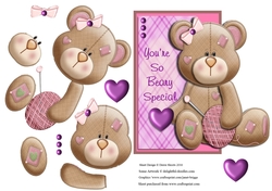 So Beary Special