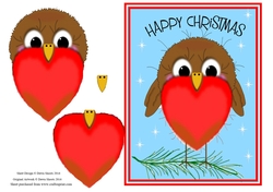 Robin Merry Christmas