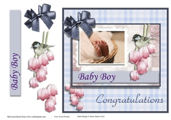 New Baby Boy