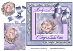 Fairy New Baby Boy00