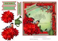Hot Summer Dahlias