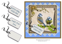 Spring Bird Birthday