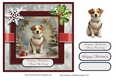 Happy Christmas Jack Russell