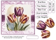 Beautiful Tulip Birthday Trio