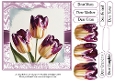 Beautiful Tulip Birthday 