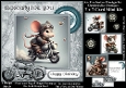 Mice On Bikes