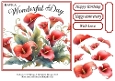 Red Cala Lily