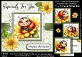 Ladybug Daisy