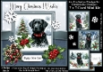 Labrador Christmas