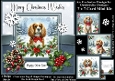Cocker Spaniel Christmas