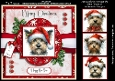 Little Terrier Christmas