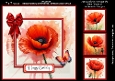 Poppy for All Occasions
