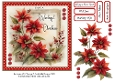 Poinsettia Wonderful Christmas
