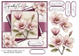 Blush Magnolia Birthday
