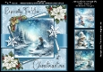 The Little Frost Fairy