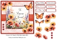 Poppies For Someone Special
