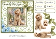 Labradoodle Wishes