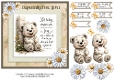 Little Joy Bear