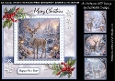 The Magic of the Reindeer