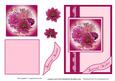 Pink Dahlias