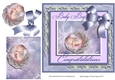 Fairy New Baby Boy00