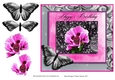 Happy Fleur Purple Poppy