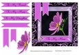 Lovely in Lavender