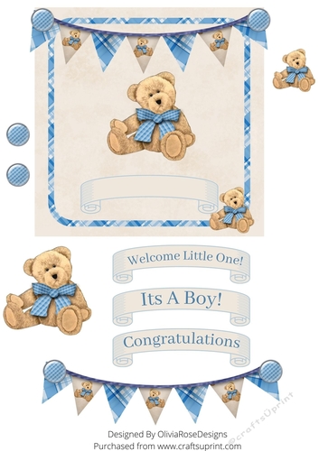 New Baby Boy teddy bear 