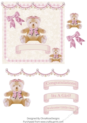 New Baby  girl teddy bear