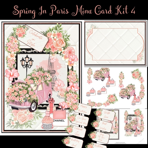 Spring In Paris Mini Card Kit #4