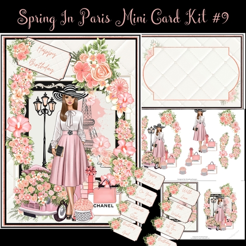 Spring In Paris Mini Card Kit #9