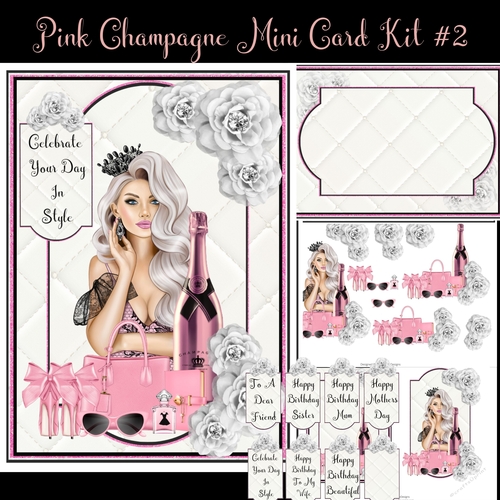 Pink Champagne Mini Card Kit #2
