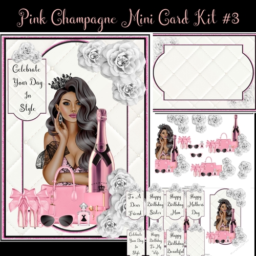 Pink Champagne Mini Card Kit #3