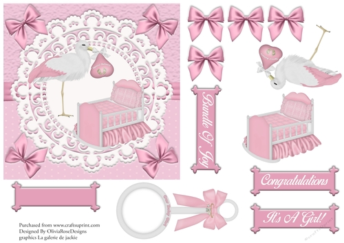 Baby Girl Quick Card #2