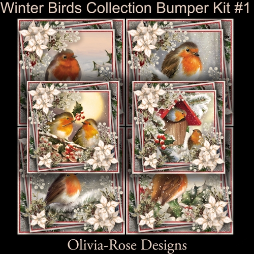 Winter Birds Collection bumper  Kit #1  