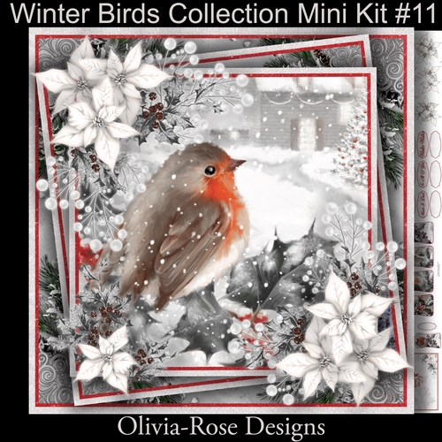 Winter Birds Collection Mini Kit#11