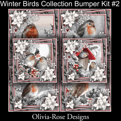 Winter Birds Collection bumper  Kit #2