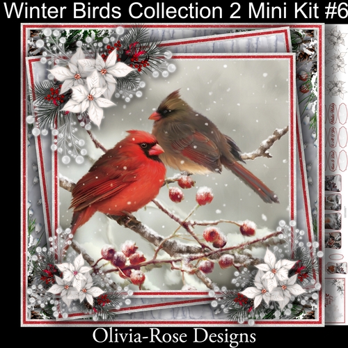 Winter Birds Collection 2 Mini Kit#6