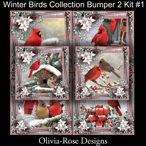 Winter Birds Collection 2 Bumper Kit#1
