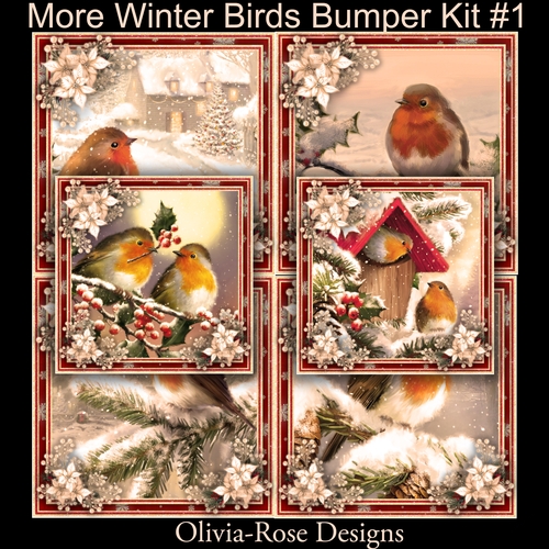 More Winter Birds Bumper Kit #1