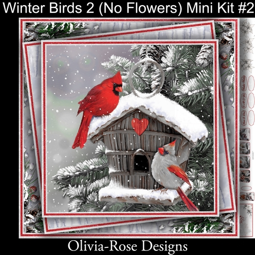 Winter Birds Collection 2  (NO Flowers) Mini Kit#2