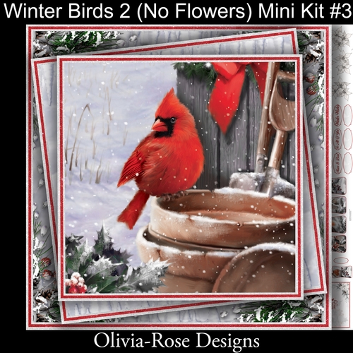 Winter Birds Collection 2  (NO Flowers) Mini Kit#3
