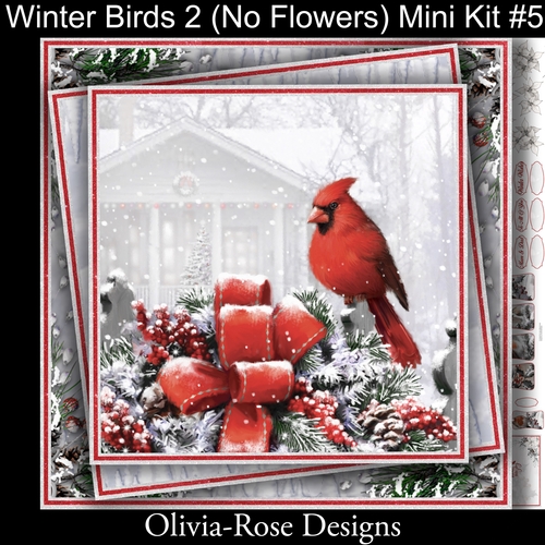 Winter Birds Collection 2  (NO Flowers) Mini Kit#5