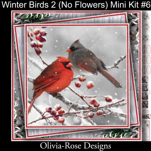 Winter Birds Collection 2  (NO Flowers) Mini Kit#6