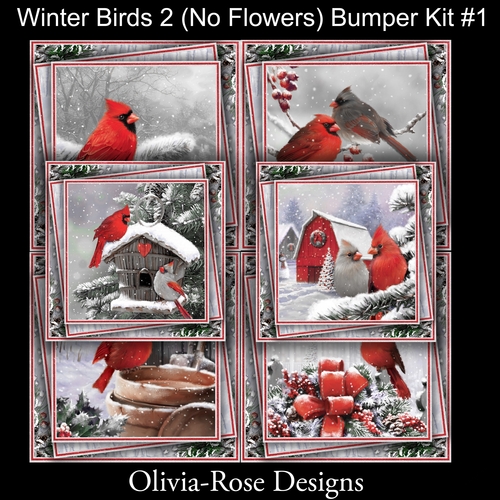 Winter Birds Collection 2  (NO Flowers) Bumper Kit#1